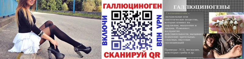 Галлюциногенные грибы Cubensis  Балашов 